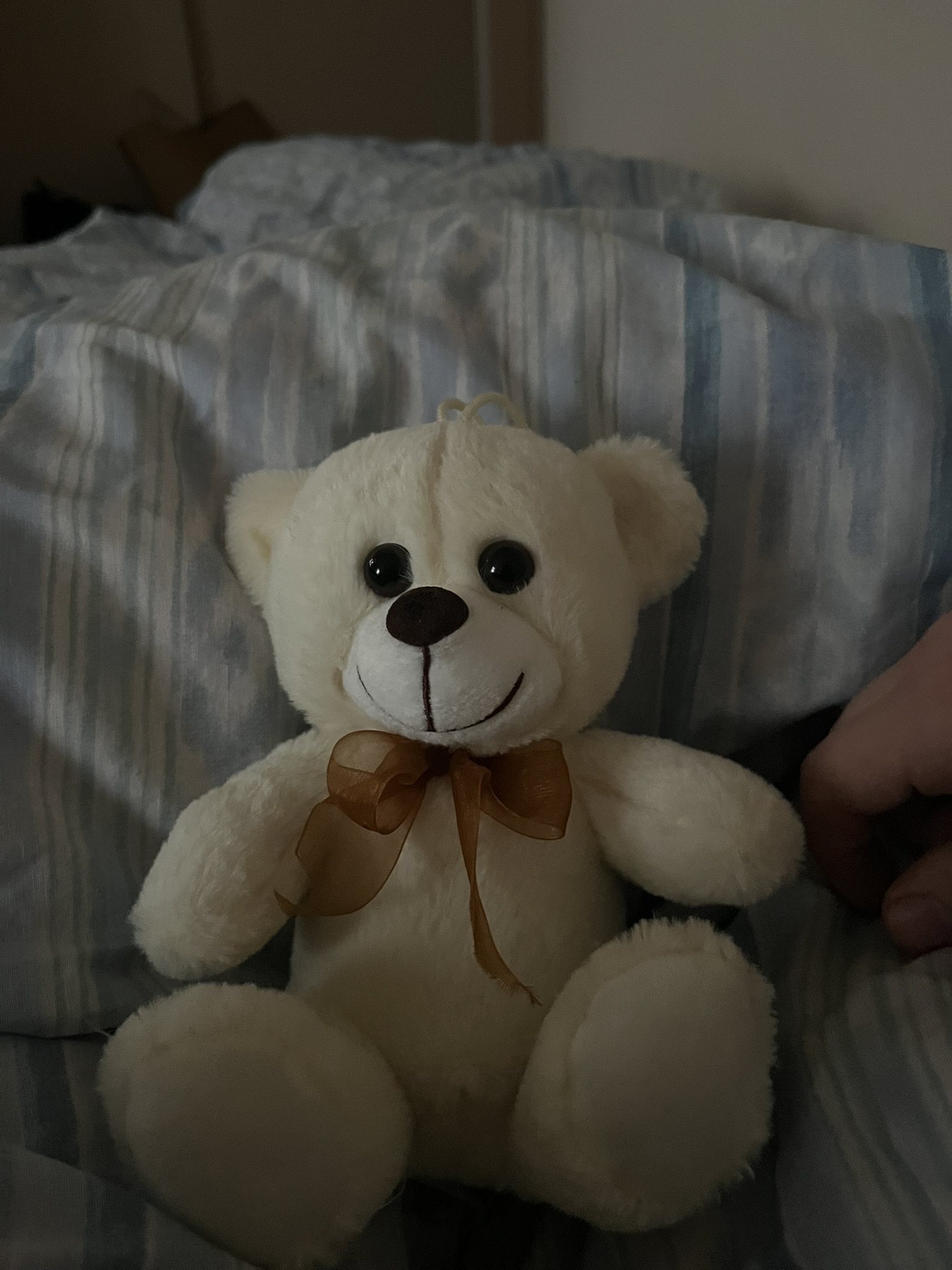 Beyaz ayıyla ilk tanışma