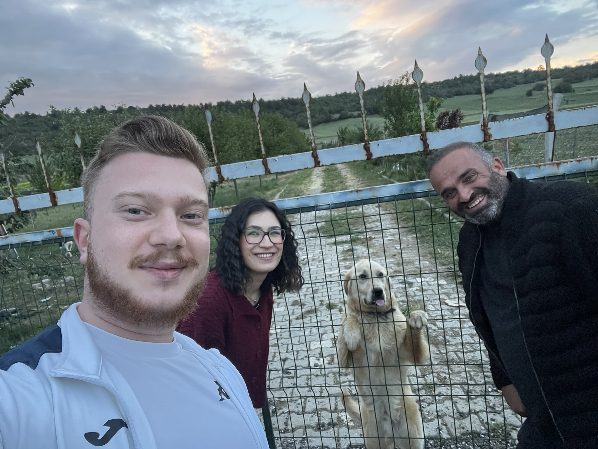 Kendini insan sanan köpekle