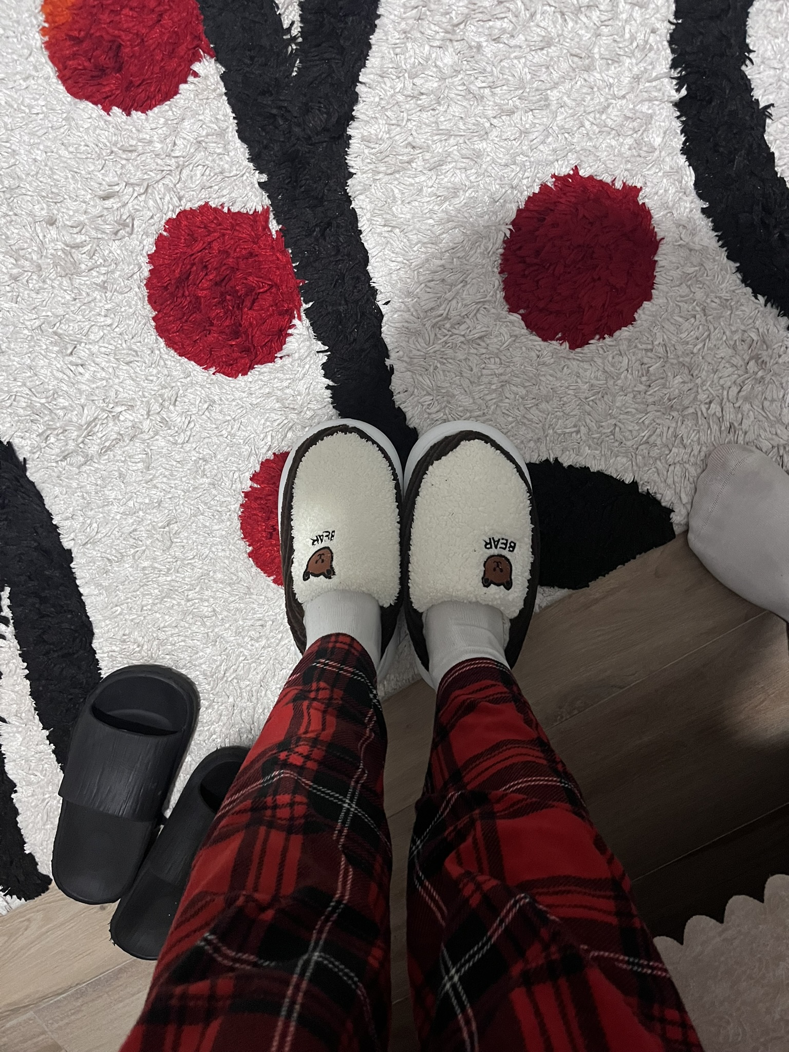 Ayıcıklı terliklerin